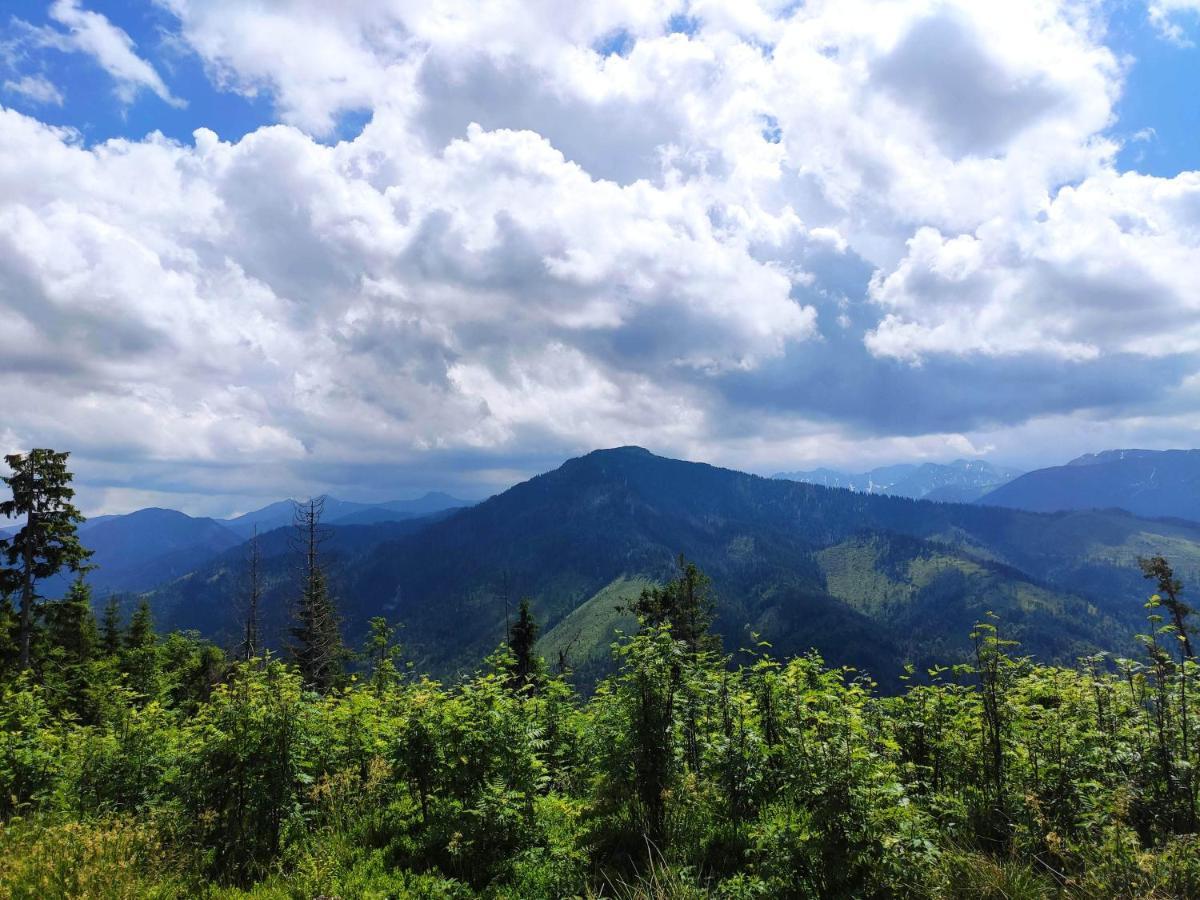 Western Tatras Slovakia Oravsky Biely Potok Екстер'єр фото