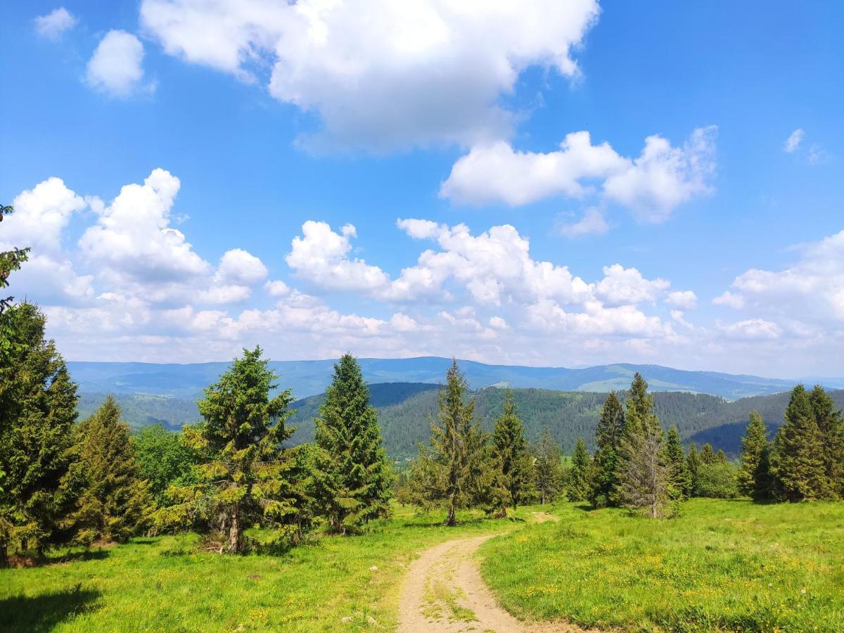 Western Tatras Slovakia Oravsky Biely Potok Екстер'єр фото